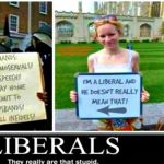 The Liberal Mindset or Mindless Set on Islam